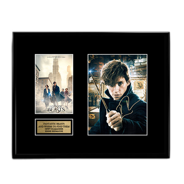 Eddie Redmayne - Newt Scamander - Fantastic Beasts and Where to Find Them Autograph Signed